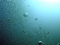   Bubbles took this pic underwater Olympus C8080 WZJana JubailSaudia ArabiaMohammed Al Hamood  